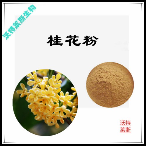 桂花粉 桂花提取物 桂花浸膏  桂花提取液