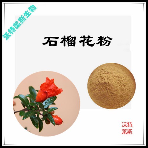 石榴花粉 石榴花提取物 石榴花浸膏  石榴花提取液