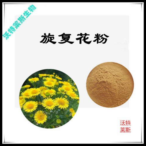 旋復(fù)花粉  旋復(fù)花提取物 旋復(fù)花浸膏  旋復(fù)花提取液