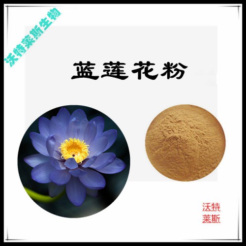 藍蓮花粉  藍蓮花提取物  藍蓮花浸膏 藍蓮花提取液