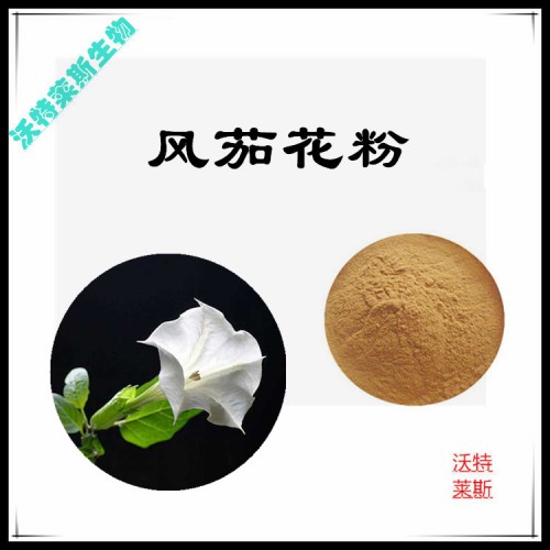 風茄花粉  風茄花提取物  風茄花浸膏 風茄花提取液