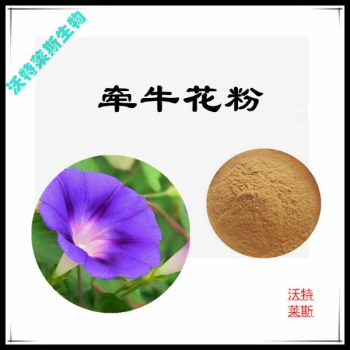 牽牛花粉  牽牛花提取物  牽牛花浸膏 牽牛花提取液