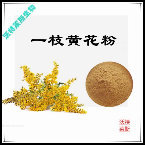 一枝黃花粉  一枝黃花提取物  一枝黃花浸膏 一枝黃花提取液