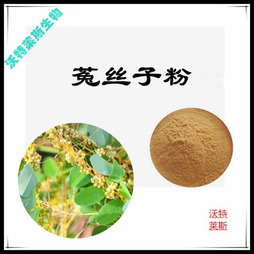 菟絲子粉 菟絲子提取物 菟絲子浸膏 菟絲子提取液