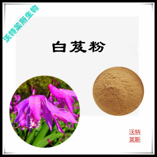 白芨粉 白芨提取物  白芨浸膏 白芨提取液