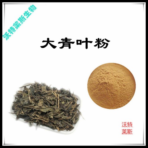 大青葉粉 大青葉提取物  大青葉浸膏 大青葉提取液