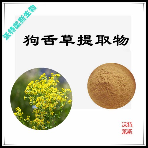 狗舌草粉 狗舌草提取物 狗舌草浸膏 狗舌草提取液