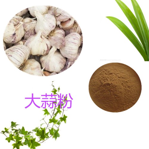 大蒜粉 大蒜提取物 大蒜浸膏 大蒜提取液