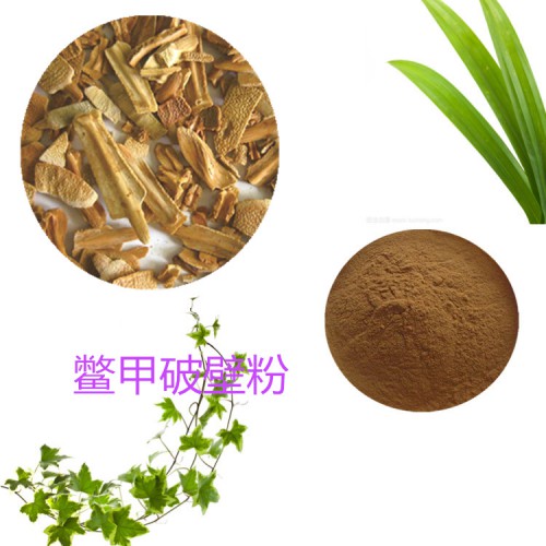 鱉甲粉 鱉甲破壁粉  鱉甲浸膏  鱉甲提取液