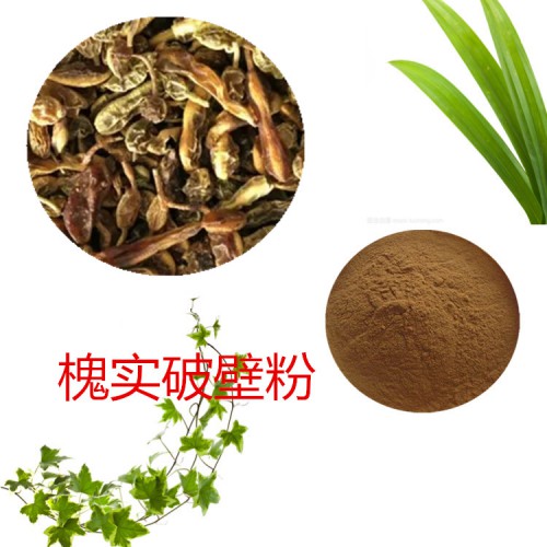 槐實粉 槐實破壁粉 槐實浸膏 槐實提取液