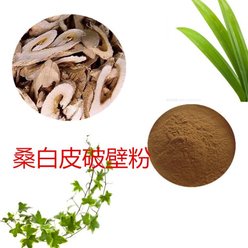 桑白皮粉  桑白皮破壁粉 桑白皮浸膏  桑白皮提取液