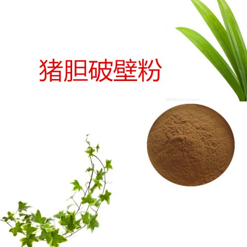 豬膽粉  豬膽破壁粉 豬膽浸膏  豬膽提取液