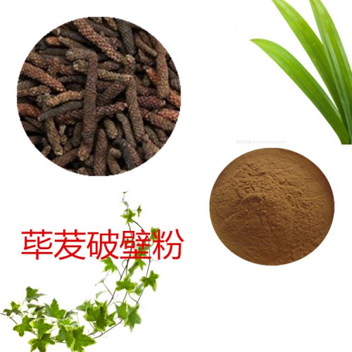 蓽茇粉  蓽茇破壁粉 蓽茇浸膏  蓽茇提取液