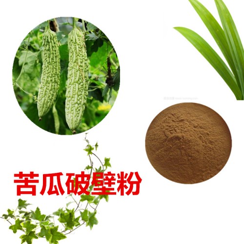 苦瓜粉 苦瓜破壁粉 苦瓜浸膏  苦瓜提取液