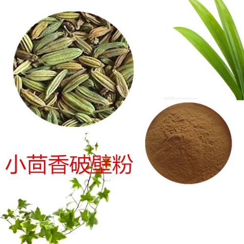 小茴香粉 小茴香破壁粉 小茴香浸膏  小茴香提取液