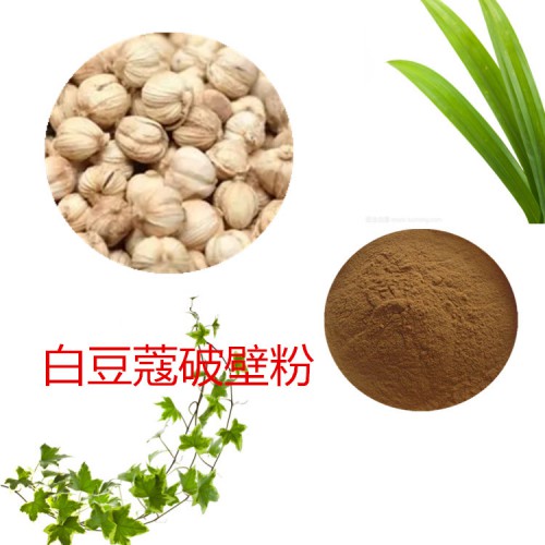 白豆蔻粉 白豆蔻破壁粉 白豆蔻浸膏 白豆蔻提取液