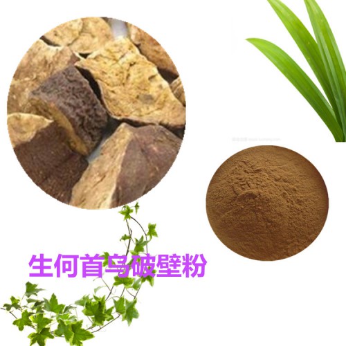 生何首烏粉 生何首烏破壁粉 生何首烏浸膏   生何首烏提取液