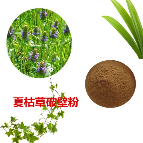 夏枯草粉 夏枯草破壁粉 夏枯草浸膏 夏枯草提取液