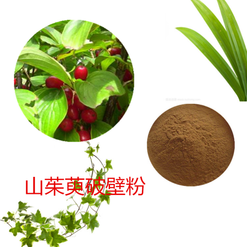 山茱萸粉 山茱萸破壁粉 山茱萸浸膏 山茱萸提取液