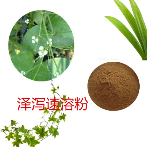 澤瀉速溶粉 澤瀉提取物 澤瀉浸膏 澤瀉浸膏粉