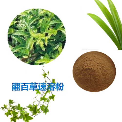 翻百草速溶粉  翻百草提取物 翻百草浸膏 翻百草浸膏粉