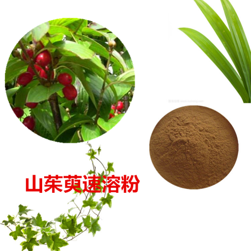 山茱萸速溶粉  山茱萸提取物 山茱萸浸膏 山茱萸浸膏粉