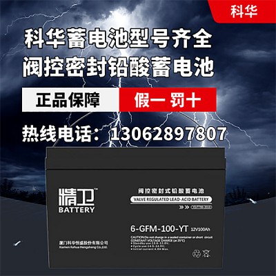 科華精衛鉛酸免維護蓄電池6-GFM-100 UPSEPS專用