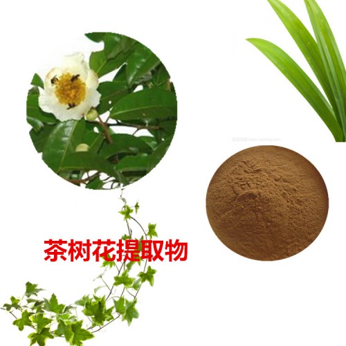 茶樹花提取物  茶樹花粉  茶樹花浸膏  茶樹花提取液