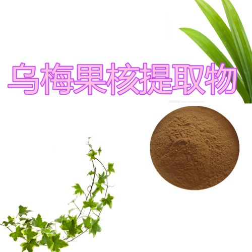 烏梅果核粉  烏梅果核提取物 烏梅果核浸膏 烏梅果核提取液