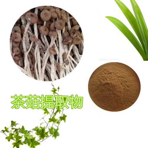 茶菇粉  茶菇提取物 茶菇浸膏 茶菇提取液 蘭州沃特萊斯