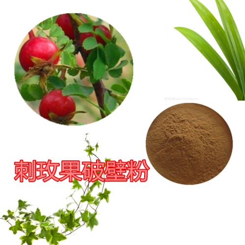 刺玫果粉 刺玫果提取物  刺玫果浸膏 刺玫果破壁粉