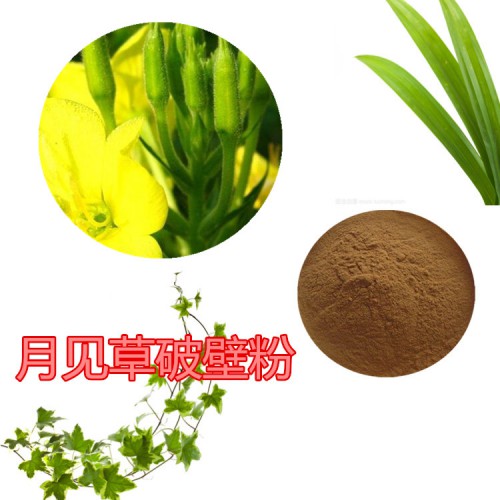 月見(jiàn)草粉 月見(jiàn)草提取物  月見(jiàn)草浸膏  月見(jiàn)草破壁粉