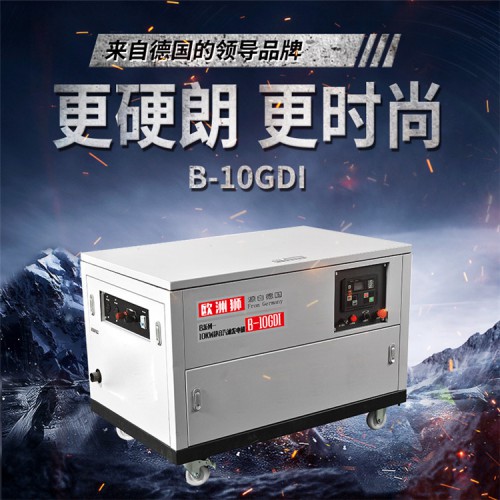 云控制30kw汽油發電機 歐洲獅動力B-30GDI