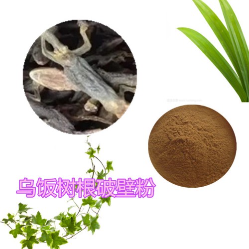 烏飯樹(shù)根破壁粉 烏飯樹(shù)根提取物  烏飯樹(shù)根粉  烏飯樹(shù)根浸膏