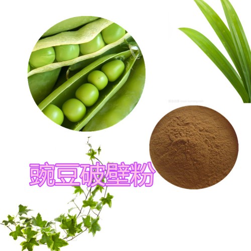 豌豆破壁粉 豌豆提取物  豌豆粉 豌豆浸膏