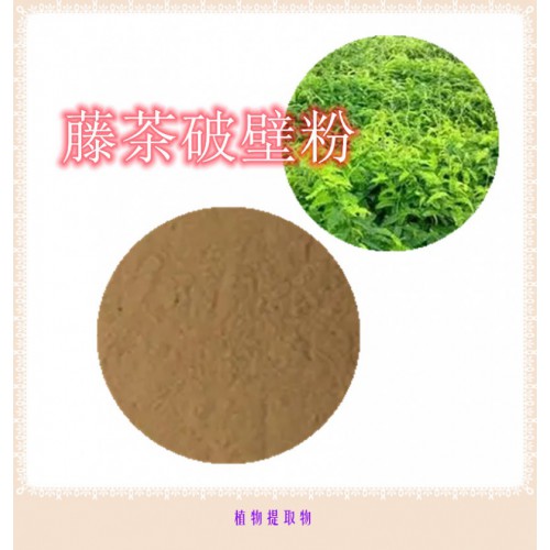 藤茶粉 藤茶提取物 藤茶浸膏 藤茶破壁粉