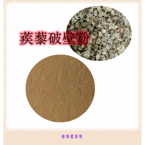 蒺藜粉 蒺藜提取物 蒺藜浸膏 蒺藜破壁粉