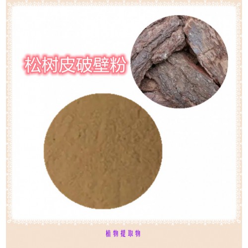 松樹皮粉 松樹皮提取物 松樹皮浸膏 松樹皮破壁粉