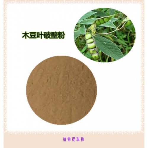 木豆葉粉 木豆葉提取物 木豆葉浸膏 木豆葉破壁粉