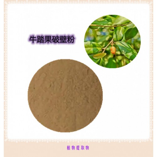 牛踏果粉   牛踏果提取物 牛踏果浸膏 牛踏果破壁粉