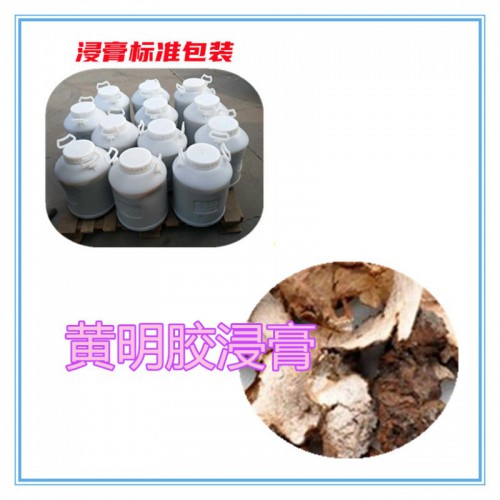 黃明膠提取物  黃明膠浸膏 黃明膠粉 黃明膠破壁粉