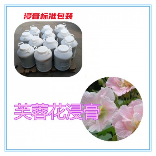 芙蓉花提取物   芙蓉花浸膏 芙蓉花粉 芙蓉花破壁粉