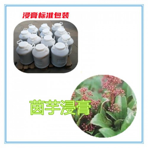 茵芋提取物 茵芋浸膏 茵芋粉 茵芋破壁粉