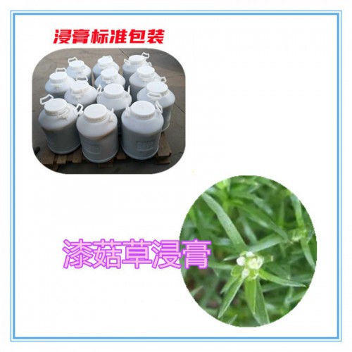 漆菇草粉 漆菇草提取物  漆菇草浸膏   漆菇草破壁粉