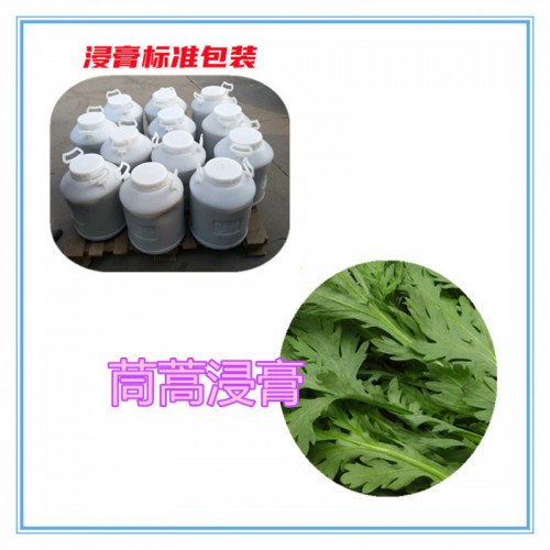 茼蒿粉 茼蒿提取物  茼蒿浸膏  茼蒿破壁粉