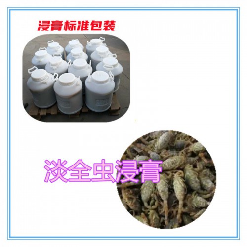 淡全蟲(chóng)速溶粉 淡全蟲(chóng)提取物  淡全蟲(chóng)浸膏 淡全蟲(chóng)浸膏粉