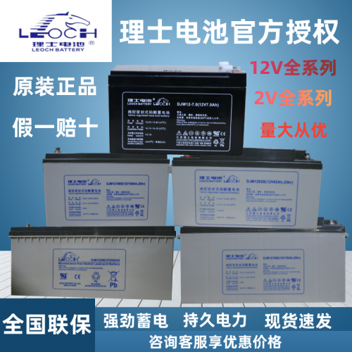 理·士蓄電池DJM1224 12V24AH現(xiàn)貨供應