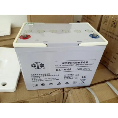 雙登蓄電池6-GFM-100鉛酸免維護電池12V100AH