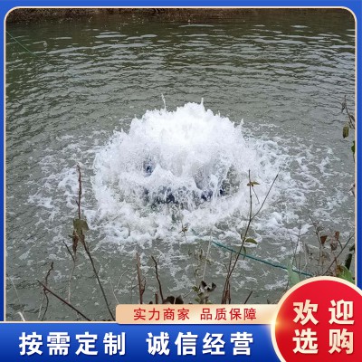 景觀噴泉曝氣機 涌泉式河道推流 微納米