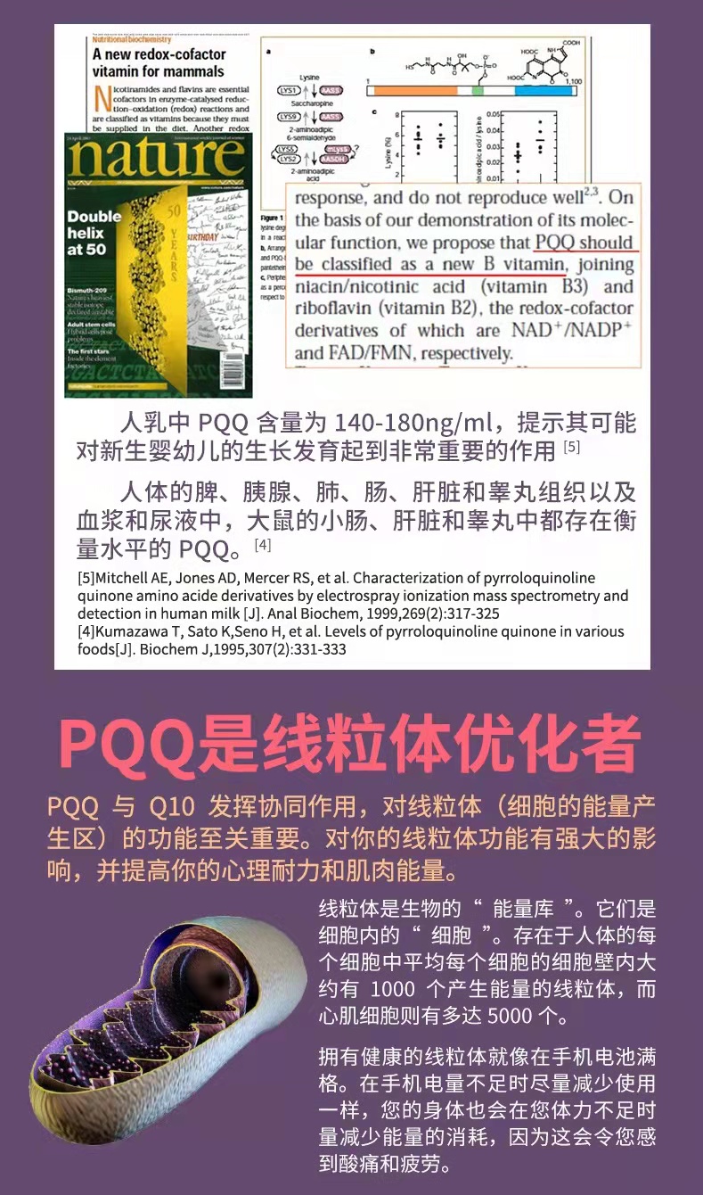 PQQ備孕詳情3